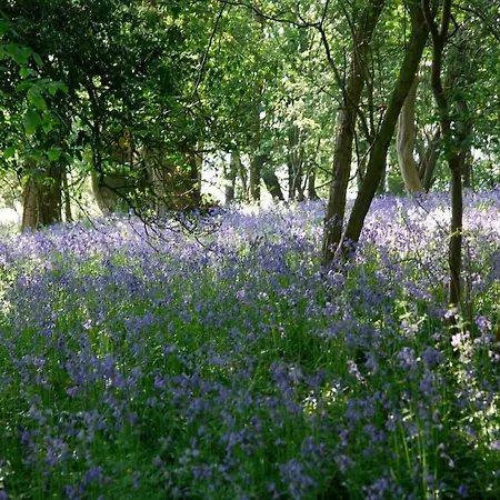 House Annexe - Beautiful Countryside Retreat *