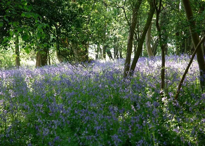 House Annexe - Beautiful Countryside Retreat *