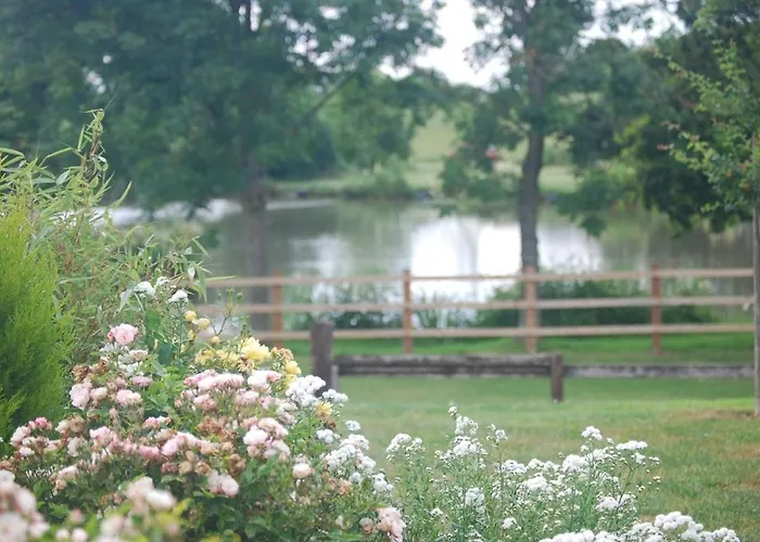 House Annexe - Beautiful Countryside Retreat